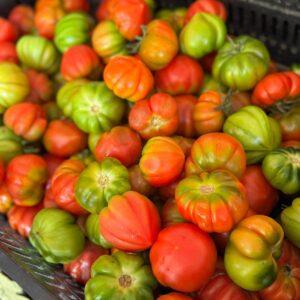 Pomodoro insalata (prezzo al kg)