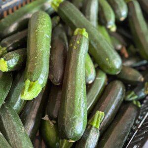 Zucchine nere galatea (prezzo al kg)