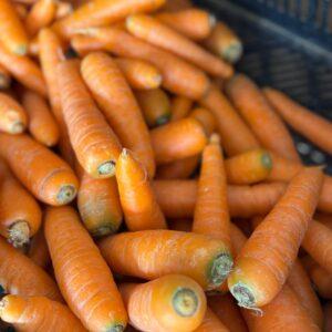 Carote (prezzo al kg)