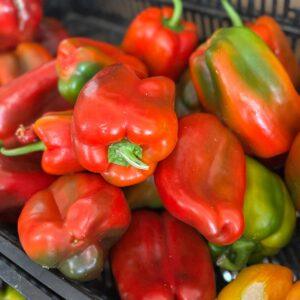 Peperoni Sicilia (prezzo al kg)