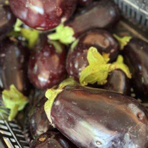 Melanzane Sicilia (prezzo al kg)