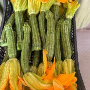 Zucchine romane (prezzo al kg)