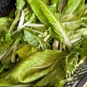 Bieta (prezzo al kg)