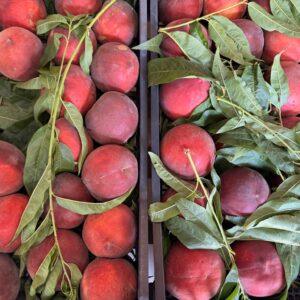 Pesche produzione propria (prezzo al kg)