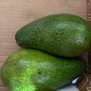 Avocado (prezzo al kg)