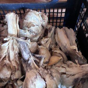 Aglione (prezzo al kg)