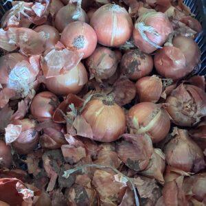 cipolle bionde (prezzo al kg)