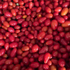 Pomodoro datterino rosso (prezzo al kg)