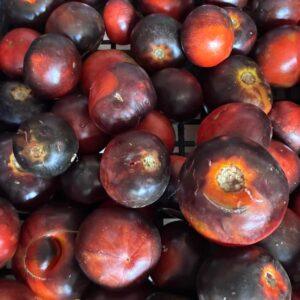 Pomodori neri (prezzo al kg)