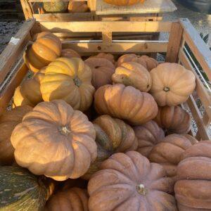 zucca gialla (prezzo al kg)